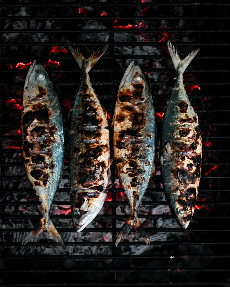 Sardines on a charcoal grill